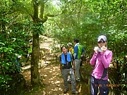 pic_Wai_036.JPG (304441 bytes)