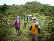pic_Wai_048.JPG (266124 bytes)