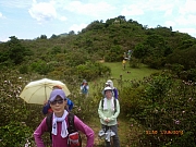 pic_Wai_049.JPG (223154 bytes)