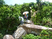 pic_Wai_054.JPG (326316 bytes)