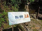 pic_Wai_092.JPG (263498 bytes)