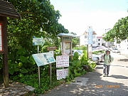 pic_Wai_094.JPG (252341 bytes)