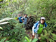 P6080004.JPG (405136 bytes)