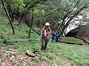 P6080007.JPG (413601 bytes)