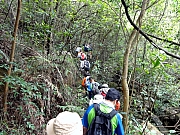 P6080008.JPG (408005 bytes)