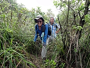 P6080009.JPG (385239 bytes)