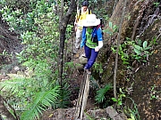 P6080031.JPG (394775 bytes)