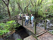 P6150026.JPG (412292 bytes)