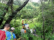 P6150031.JPG (407570 bytes)