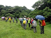 P6150039.JPG (314220 bytes)