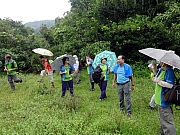 P6150040.JPG (355552 bytes)