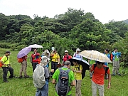 P6150042.JPG (274851 bytes)