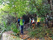 P6290007.JPG (315997 bytes)