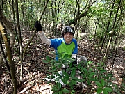 P6290013.JPG (309970 bytes)