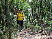 P6290014.JPG (301866 bytes)