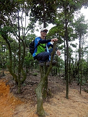P6290024.JPG (269057 bytes)