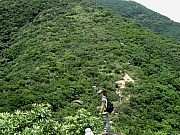 P6290035.JPG (300550 bytes)