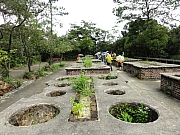 P6290058.JPG (245699 bytes)
