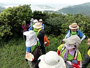 P7060005.JPG (207660 bytes)