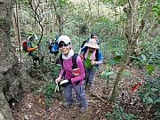 P7060015.JPG (247911 bytes)