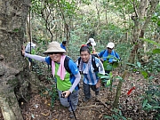 P7060016.JPG (257227 bytes)