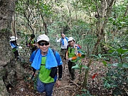 P7060017.JPG (250652 bytes)