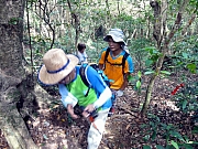 P7060022.JPG (266796 bytes)
