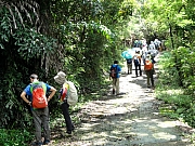 P7130061.JPG (367067 bytes)