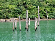 P7200027.JPG (336776 bytes)