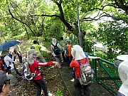 P7200034.JPG (323880 bytes)