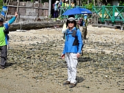 P7200060.JPG (330699 bytes)