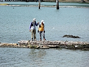 P7200063.JPG (243458 bytes)