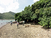P7200136.JPG (344545 bytes)