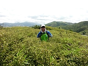 P7200149.JPG (273379 bytes)