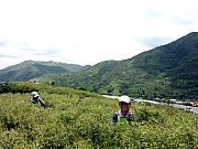 P7200150.JPG (238827 bytes)