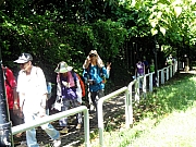 P7270008.JPG (270405 bytes)