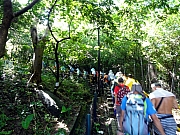 P7270009.JPG (331929 bytes)