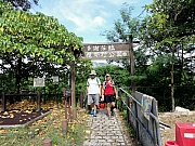 P7270011.JPG (334973 bytes)