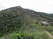 P7270071.JPG (243414 bytes)