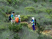 P7270074.JPG (283592 bytes)