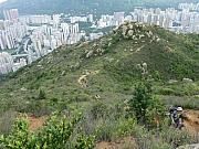 P7270077.JPG (286618 bytes)