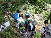 P8030024.JPG (318090 bytes)