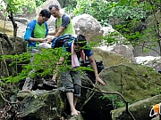 P8030040.JPG (278395 bytes)