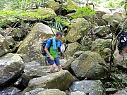 P8030054.JPG (289137 bytes)