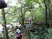 P8030067.JPG (311242 bytes)