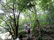 P8030068.JPG (330559 bytes)