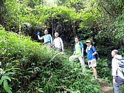 P8100026.JPG (384840 bytes)