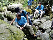 P8100043.JPG (291188 bytes)