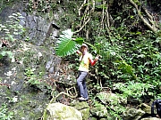 P8100059.JPG (358358 bytes)