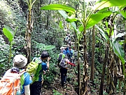 P8100159.JPG (354883 bytes)